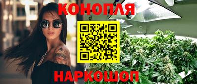 крисы Керчь