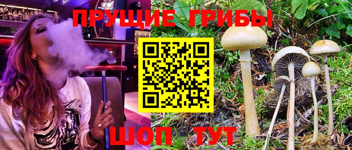 Галлюциногенные грибы мицелий  Вход с VPN  Керчь 