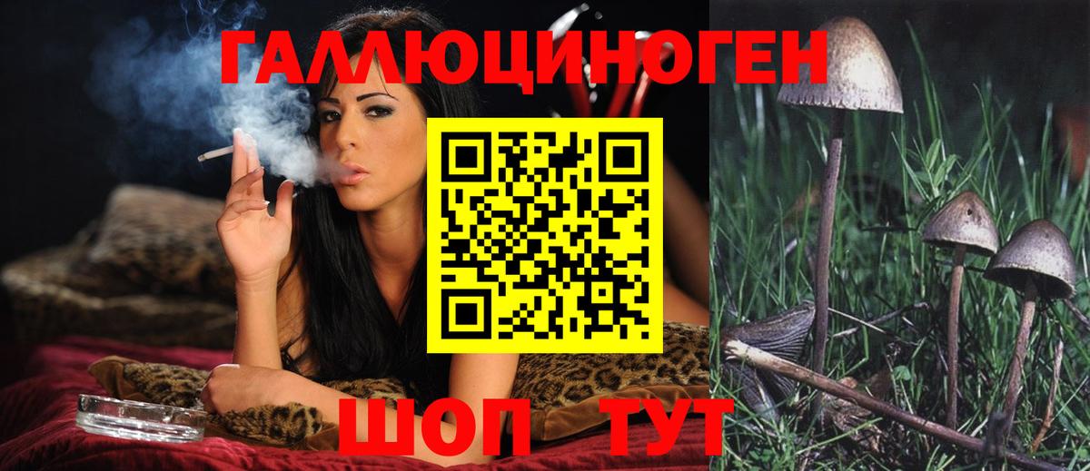 Галлюциногенные грибы мицелий Керчь